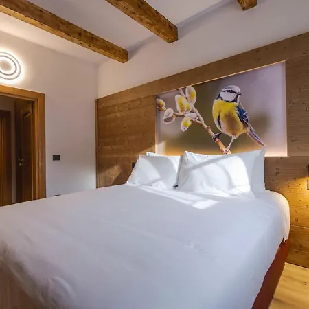 Hotel Granduca Mountain Wellness 4*