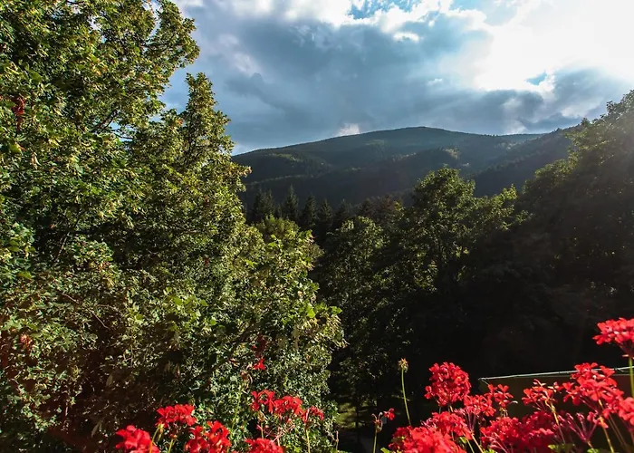 Granduca Mountain Wellness