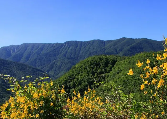 Hotel Granduca Mountain Wellness 4*